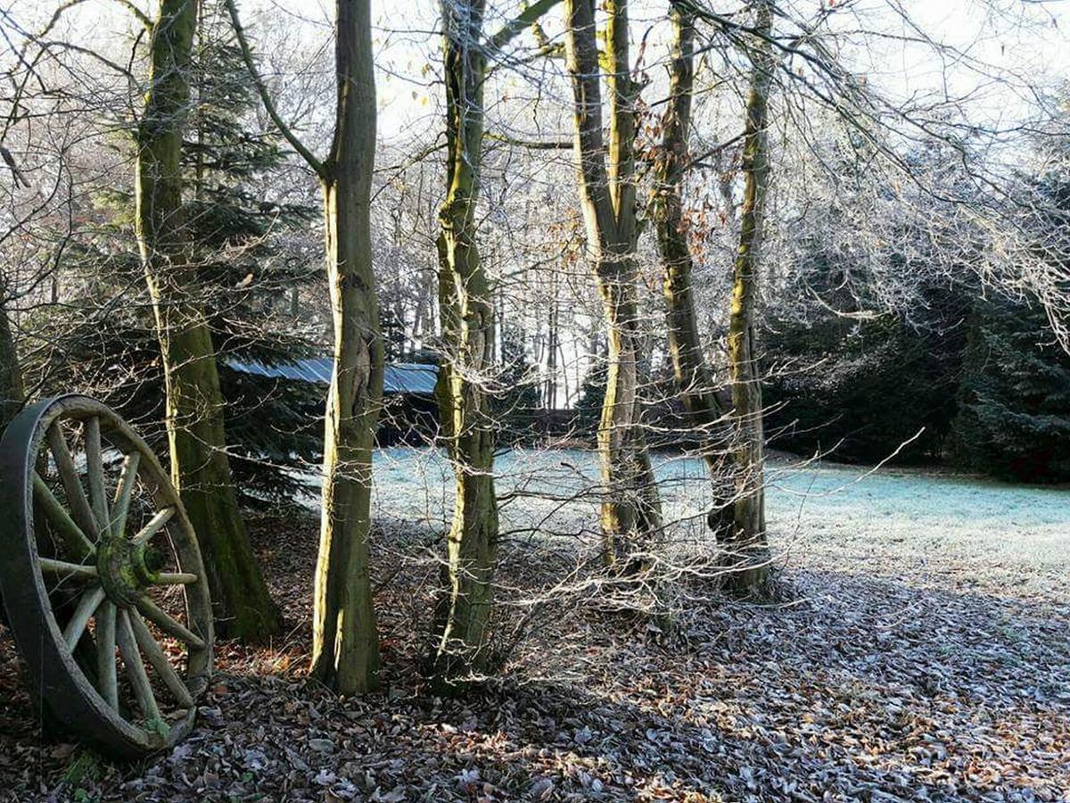 Zur Schanze Holtgast-Apen Exterior foto